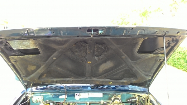 ไมตี้แค้ปปี 95 รถสวย ไมตี้แค้ปปี 95 รถสวย