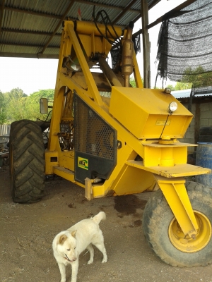 ขายรถคีบอ้อยBELL 3 สูบ ราคาคุยกันได้