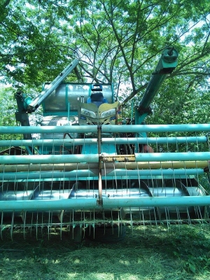 ขายรถเกี่ยวข้าว ไทยเจริญอุ้ม2.5ตัน เครื่อง195เทอร์โบ ช่างล่างตัวเดิน10 โซ่เปลี่ยนใหม่ ทำงานเร็ว สภาพพร้อมใช้งาน สนใจโทร 090-8588220คุณนะ 093-3258446คุณบิว ID:narong498 หรือ www.truck.in.th/498 หรือเพจFacebook ณรงค์ ซื้อขายรถมือสอง (เว็บไซต์ส่วนตัว)