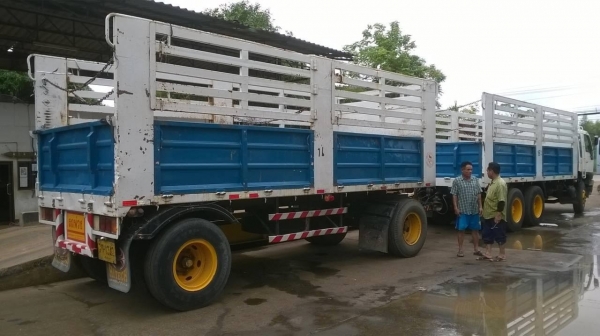 ขายรถพ่วง แม่ลูกไม่ดั้ม HINO FM3M ปี 38 เครื่องเดิม M10C 240 แรงม้า แห้งไม่มีเยิ้ม เกียร์เดิม สโลว์เดิม คัสซีสวยจัดตลอดเส้น ยางเรเดียลเต็ม ทะเบียนพร้อมโอนครับ