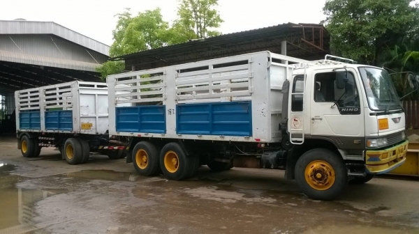 ขายรถพ่วง แม่ลูกไม่ดั้ม HINO FM3M ปี 38 เครื่องเดิม M10C 240 แรงม้า แห้งไม่มีเยิ้ม เกียร์เดิม สโลว์เดิม คัสซีสวยจัดตลอดเส้น ยางเรเดียลเต็ม ทะเบียนพร้อมโอนครับ