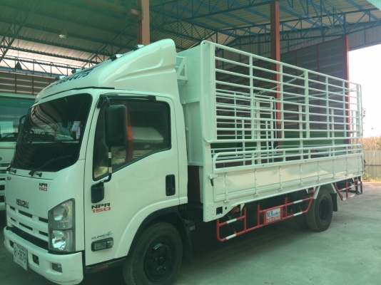 อีชุซุ NPR150 แรง สภาพดีสวยจัดเดิมทั้งคัน ทะเบียนพร้อม ประกันชั้น1 สนใจ ติดต่อ~0860654475 ~ เฮียครับ