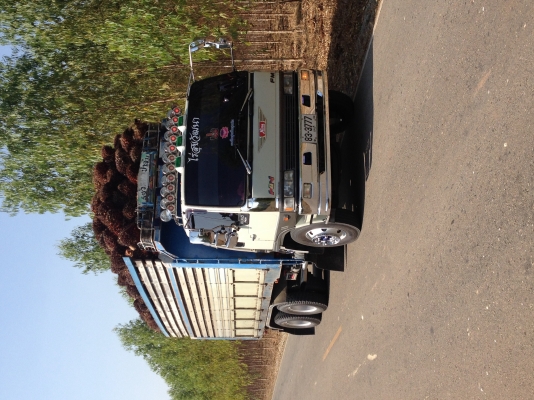 ขายกะบะดั๊ม คอกเกษตร