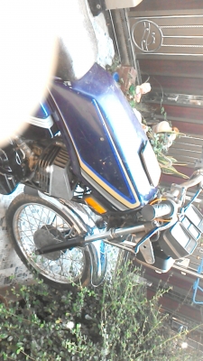 ขายแล้ว