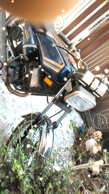 ขายแล้ว