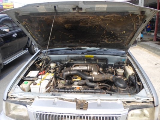 ขายดราก้อนแค๊ปปี99SLX