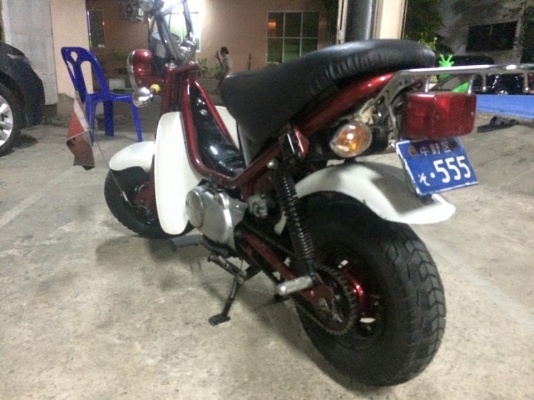 รถป๊อบ