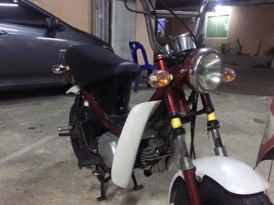 รถป๊อบ