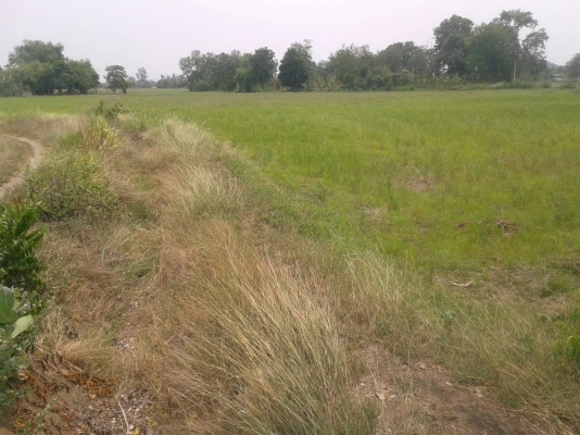 ที่ดินสวยทำเลดี