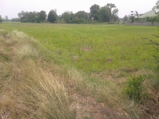 ที่ดินสวยทำเลดี