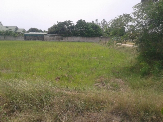 ที่ดินสวยทำเลดี