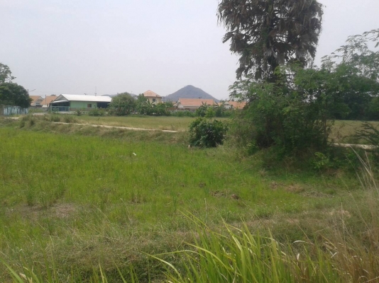 ที่ดินสวยทำเลดี