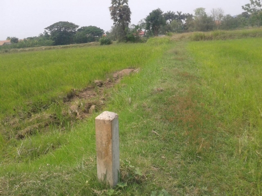 ที่ดินสวยทำเลดี