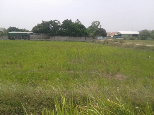 ที่ดินสวยทำเลดี