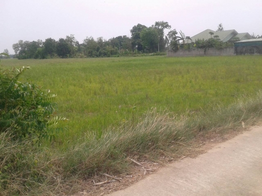 ที่ดินสวยทำเลดี