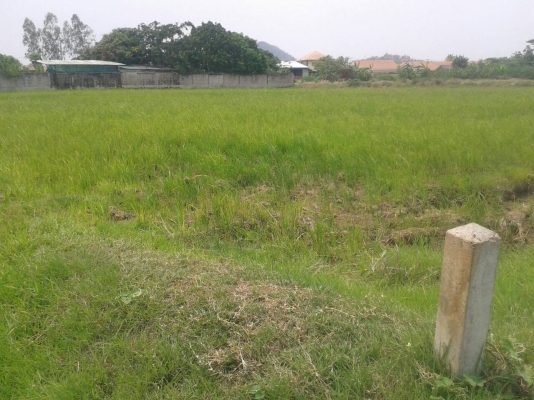 ที่ดินสวยทำเลดี