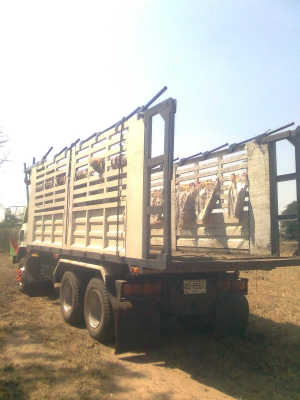 ขายHINO 227ดั๊มสองเพลา ขายHINO 227ดั๊มสองเพลา