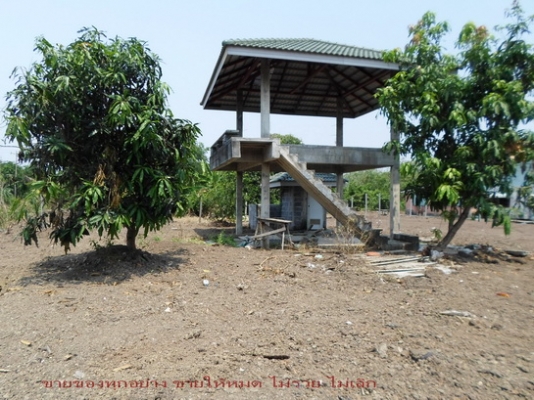 @@@ ขายที่ติดคลองทำเลทองห่างไปรษณีย์มีนบุรี30นาที(กทม) @@@ @@@ ขายที่ติดคลองทำเลทองห่างไปรษณีย์มีนบุรี30นาที(กทม) @@@