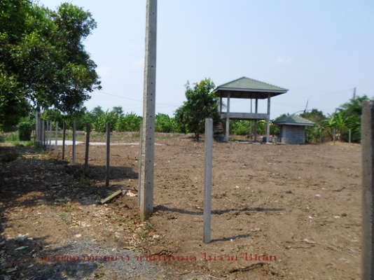 @@@ ขายที่ติดคลองทำเลทองห่างไปรษณีย์มีนบุรี30นาที(กทม) @@@ @@@ ขายที่ติดคลองทำเลทองห่างไปรษณีย์มีนบุรี30นาที(กทม) @@@