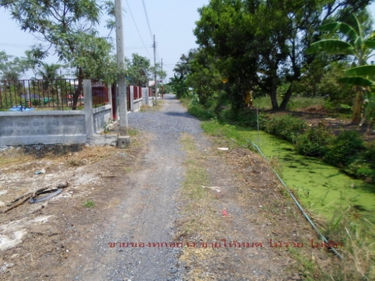 @@@ ขายที่ติดคลองทำเลทองห่างไปรษณีย์มีนบุรี30นาที(กทม) @@@ @@@ ขายที่ติดคลองทำเลทองห่างไปรษณีย์มีนบุรี30นาที(กทม) @@@