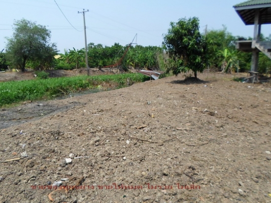 @@@ ขายที่ติดคลองทำเลทองห่างไปรษณีย์มีนบุรี30นาที(กทม) @@@ @@@ ขายที่ติดคลองทำเลทองห่างไปรษณีย์มีนบุรี30นาที(กทม) @@@