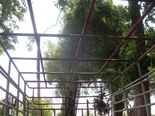 ขายคอกเหล็ก อีซูซุ ตอนเดียว