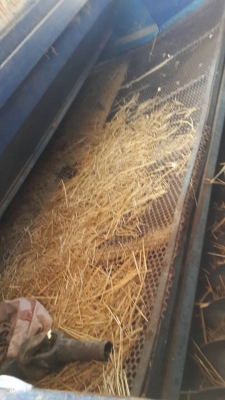 ขายเครื่องนวดข้าวเกษตรพัฒนาใช้ต่อพ่วงรถไถ