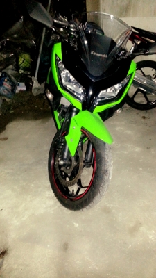 ขายดาวน์นินจา 300 ปี 2014 สีเขียว