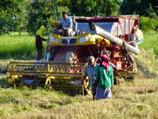 ขายเหมา 3 คัน รถเกี่ยวพร้อมเทรลเลอร์  3 รายการ ถูกๆสภาพดี 1,600,000 ต่อรองได้