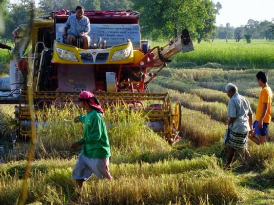 ขายเหมา 3 คัน รถเกี่ยวพร้อมเทรลเลอร์  3 รายการ ถูกๆสภาพดี 1,600,000 ต่อรองได้