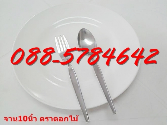 ขายส่งจานชามเมลามีนและเก้าอี้พลาสติก ถูกที่สุดแล้ว