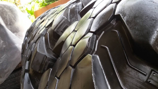 ขายยาง 36 crocodile xtreme ปี 11 ขายยาง 36 crocodile xtreme ปี 11