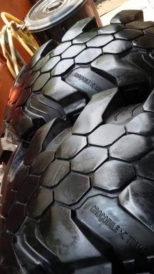 ขายยาง 36 crocodile xtreme ปี 11 ขายยาง 36 crocodile xtreme ปี 11