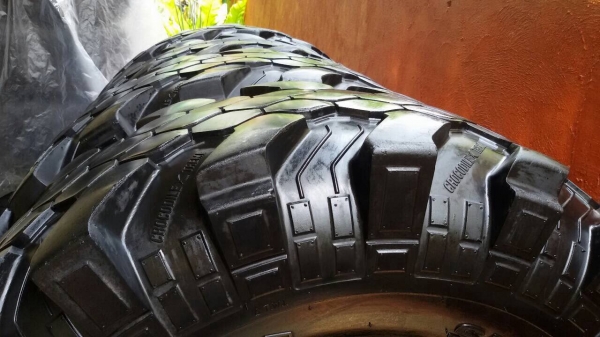 ขายยาง 36 crocodile xtreme ปี 11 ขายยาง 36 crocodile xtreme ปี 11