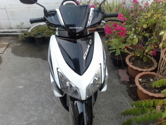 คลิกปี51 คลิกปี51