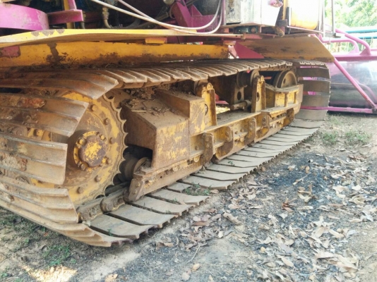 ขายดาวน์จ้าวช้างไวไฟ ปี 56 ขายดาวน์จ้าวช้างไวไฟ ปี 56