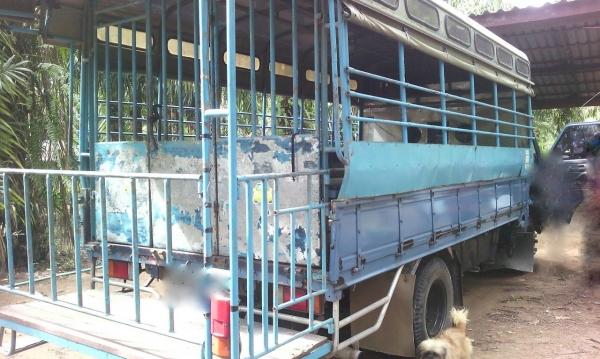 รถอีซุซุ 6 ล้อ รั้ว NPR เปลื่ยนเครื่อง 110  แรงม้า ปี 35.   สนใจติดต่อ 081 - 6079515