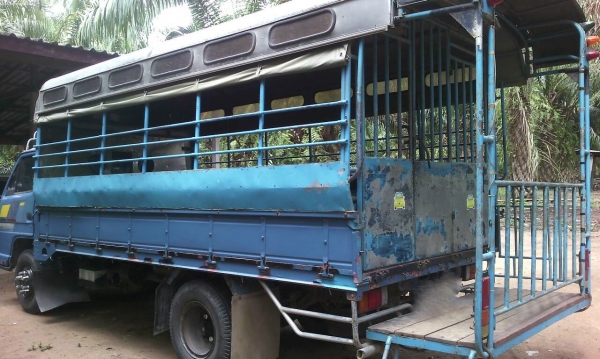 รถอีซุซุ 6 ล้อ รั้ว NPR เปลื่ยนเครื่อง 110  แรงม้า ปี 35.   สนใจติดต่อ 081 - 6079515