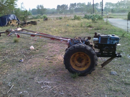 ขายมิสซู สิงห์คะนองนา แปดแรง+หางรุ่งเพชร ขายมิสซู สิงห์คะนองนา แปดแรง+หางรุ่งเพชร