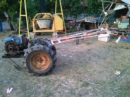 ขายมิสซู สิงห์คะนองนา แปดแรง+หางรุ่งเพชร