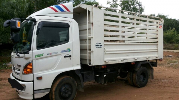 รถฮีโน่ 6 ล้อดั้ม FC9J  175 แรงม้า. ปี 57   ( รถวิ่ง 3x,xxx กว่า กม. )     สนใจติดต่อ  081 - 6079515