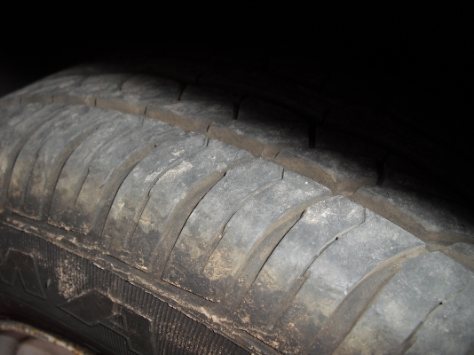 ม้าสด้าแฟมิเลี่ย ม้าสด้าแฟมิเลี่ย