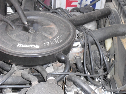 ม้าสด้าแฟมิเลี่ย ม้าสด้าแฟมิเลี่ย