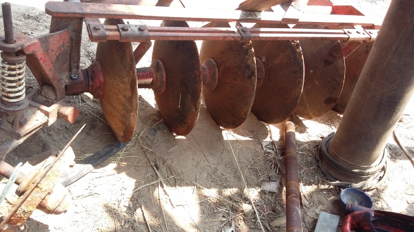 ผาน6 ตราช้าง