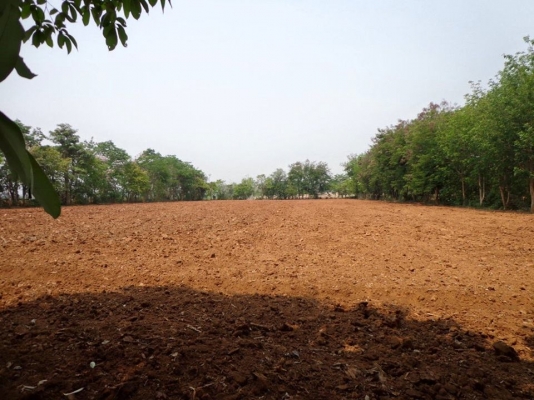 ขายด่วน ที่ดินตำบลหมูสี จำนวน 12 ไร่ แบ่งเป็น 4 แปลงๆ ละ 3 ไร่ ราคาไร่ละ 2,500,000 บาทปากทางเข้ามีร้านกาแฟชื่อเฉลียงมุมขวาล่างคือทอสคานา มุมซ้ายบนคือที่ดินสังเกตง่ายเป็นที่ดิน 2 แปลงต้นไม้ล้อมที่ดิน 2 แปลงต้นไม้ล้อมอยู่ใต้คำว่า Google Earth ใต้ลงมาเป็นแปล