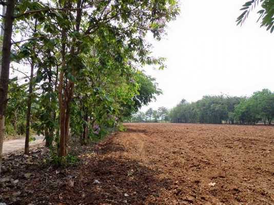 ขายด่วน ที่ดินตำบลหมูสี จำนวน 12 ไร่ แบ่งเป็น 4 แปลงๆ ละ 3 ไร่ ราคาไร่ละ 2,500,000 บาทปากทางเข้ามีร้านกาแฟชื่อเฉลียงมุมขวาล่างคือทอสคานา มุมซ้ายบนคือที่ดินสังเกตง่ายเป็นที่ดิน 2 แปลงต้นไม้ล้อมที่ดิน 2 แปลงต้นไม้ล้อมอยู่ใต้คำว่า Google Earth ใต้ลงมาเป็นแปล