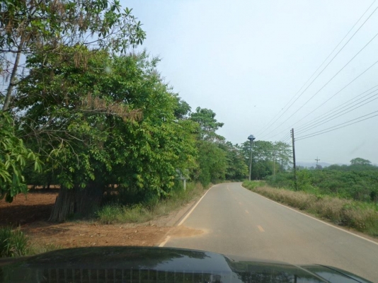 ขายด่วน ที่ดินตำบลหมูสี จำนวน 12 ไร่ แบ่งเป็น 4 แปลงๆ ละ 3 ไร่ ราคาไร่ละ 2,500,000 บาทปากทางเข้ามีร้านกาแฟชื่อเฉลียงมุมขวาล่างคือทอสคานา มุมซ้ายบนคือที่ดินสังเกตง่ายเป็นที่ดิน 2 แปลงต้นไม้ล้อมที่ดิน 2 แปลงต้นไม้ล้อมอยู่ใต้คำว่า Google Earth ใต้ลงมาเป็นแปล