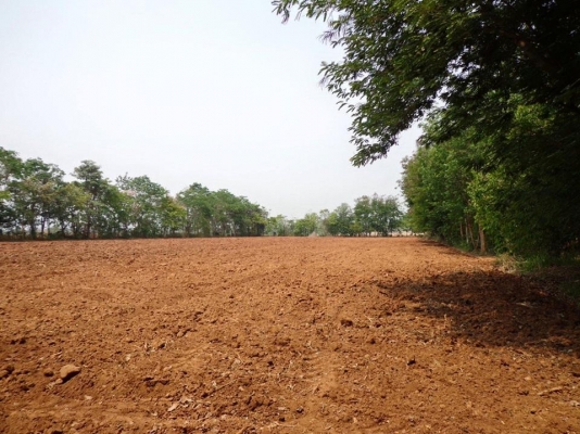 ขายด่วน ที่ดินตำบลหมูสี จำนวน 12 ไร่ แบ่งเป็น 4 แปลงๆ ละ 3 ไร่ ราคาไร่ละ 2,500,000 บาทปากทางเข้ามีร้านกาแฟชื่อเฉลียงมุมขวาล่างคือทอสคานา มุมซ้ายบนคือที่ดินสังเกตง่ายเป็นที่ดิน 2 แปลงต้นไม้ล้อมที่ดิน 2 แปลงต้นไม้ล้อมอยู่ใต้คำว่า Google Earth ใต้ลงมาเป็นแปล