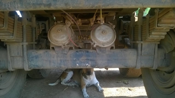 ขายรถพ่วง แม่-ลูกดั้ม HINO FM3M ปี 38 เครื่องเดิม M10C 240 แรงม้า เกียร์เดิม สโลว์เดิม คัสซีสวย แอร์เย็นเฉียบ ลูก 3 คานลงเล่มแล้ว ทะเบียนพร้อมโอน ราคาต่อรองได้ครับ