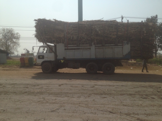 ขาย hino f18